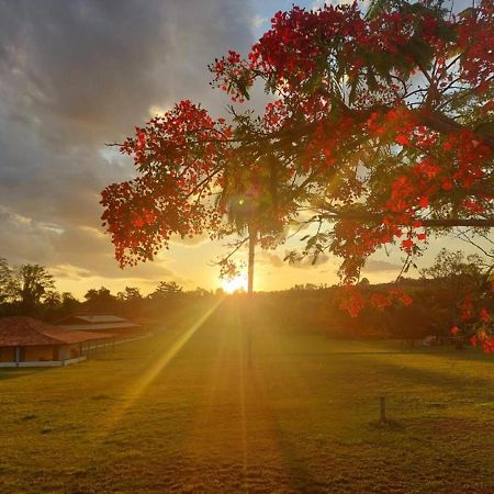 Sertao Veredas Hotel Fazenda Paraopeba Bagian luar foto