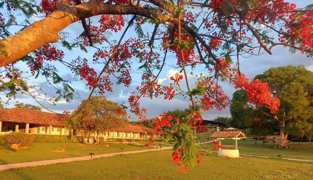 Sertao Veredas Hotel Fazenda Paraopeba Bagian luar foto